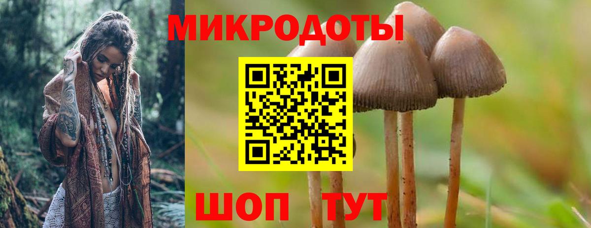 Псилоцибиновые грибы MAGIC MUSHROOMS Миасс